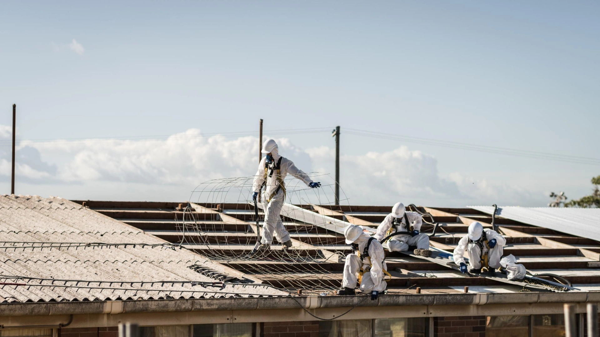 Asbestos Management