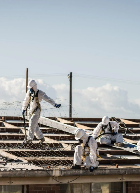 Asbestos Management