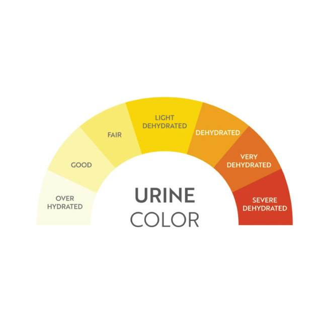 Urine